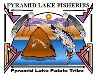 Pyramid Lake Fisheries